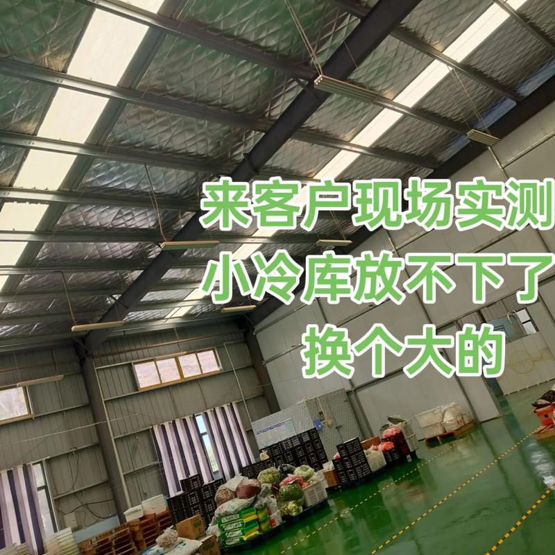 探索黄瓜树商贸行业的新兴趋势